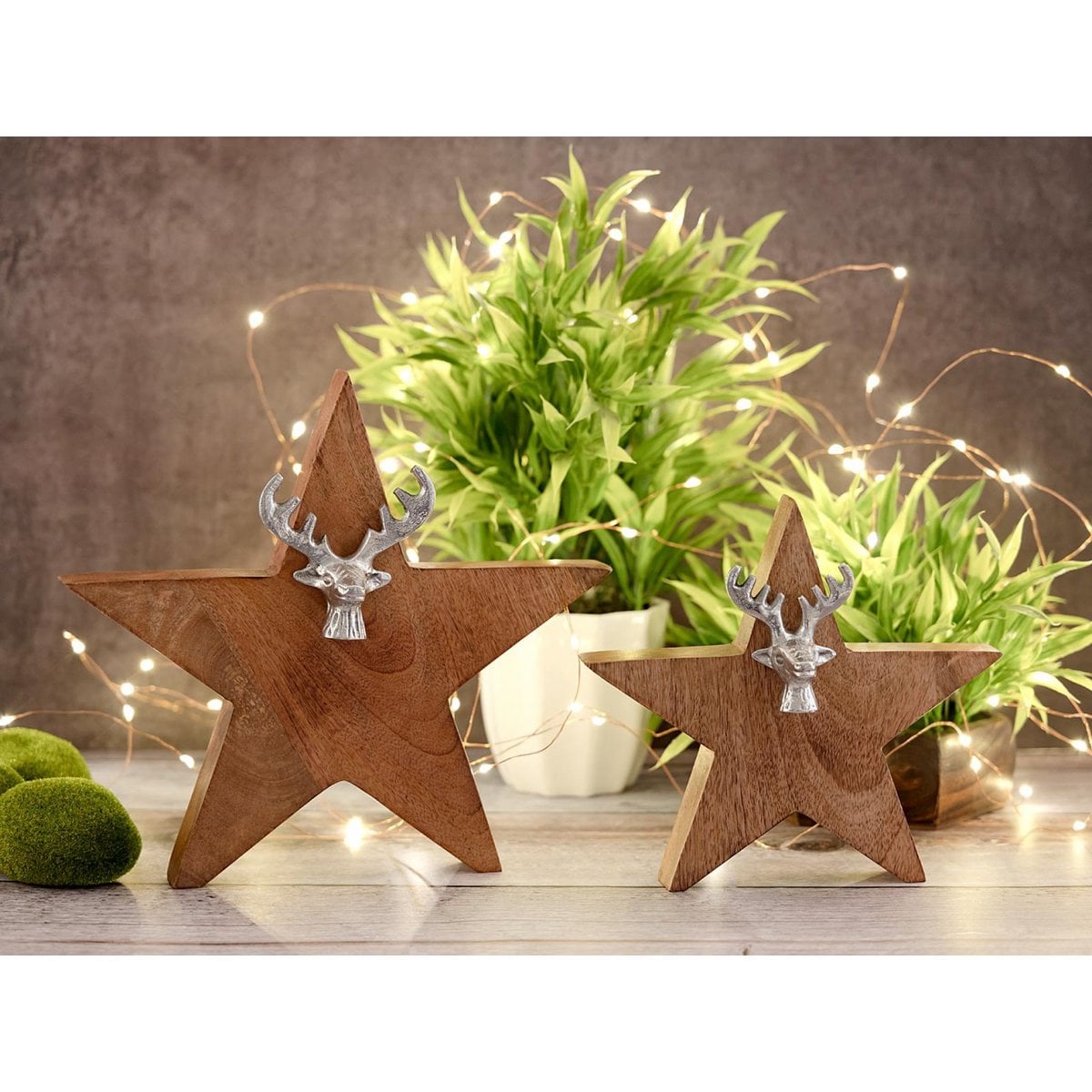 Houten ster set met hertenkop 25/19 cm massief mango hout