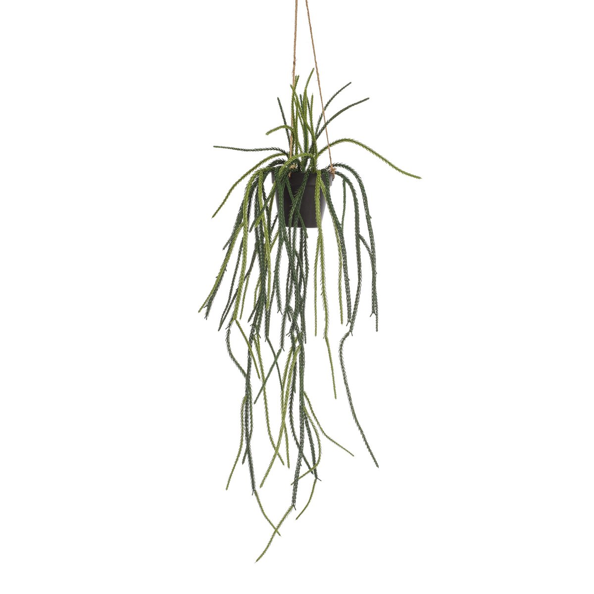 Kunstplant Rhypsalis Koraalcactus 85 cm