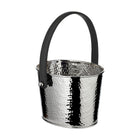Champagnekoeler 23x18x16 cm roestvrij staal zilver