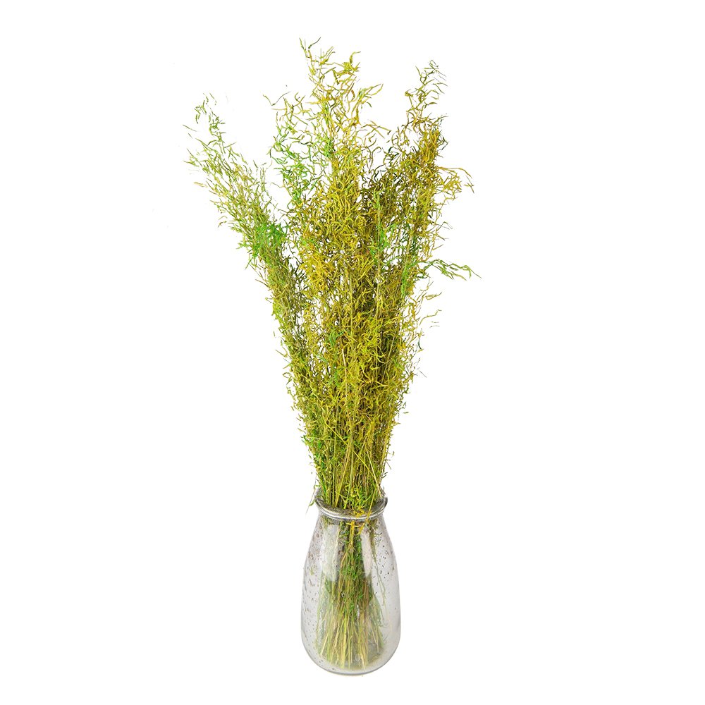 Droogboeket 90 cm groen