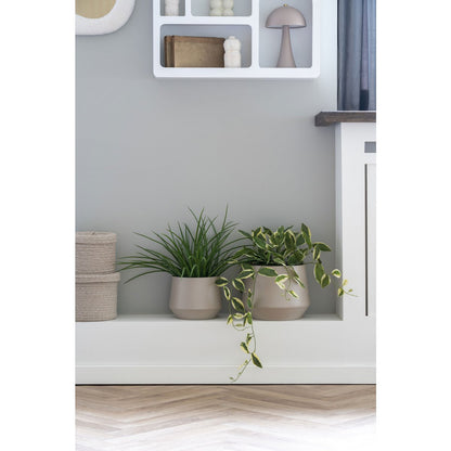 Kunstplant Gras 51x51x45 cm groen plastic