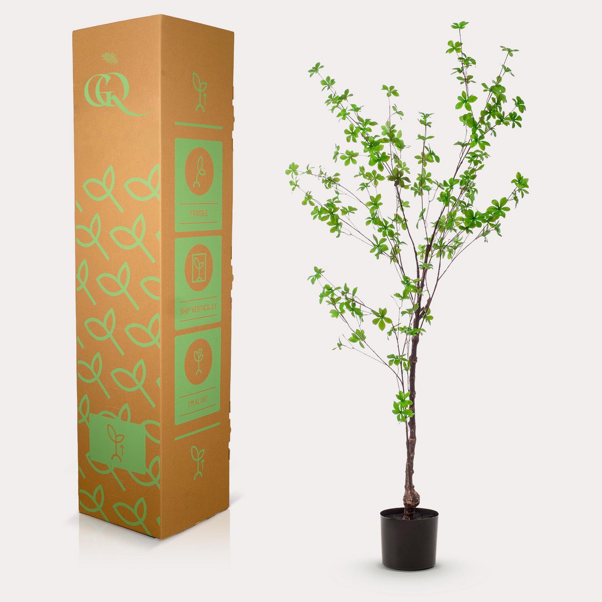Kunstplant Oost Indische Kers 150 cm