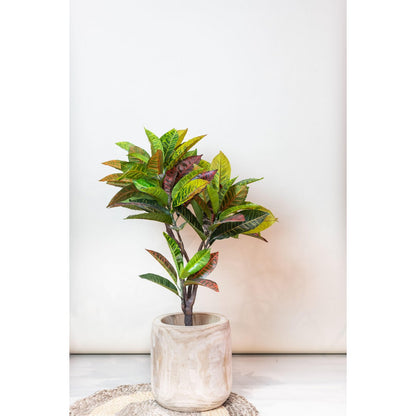 Artificial Plant Croton Codiaeum Wonder Shrub 95 cm Beautiful
