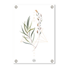 Botanical garden poster