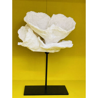 Koraaldecoratie polyresin 25x25x30 cm