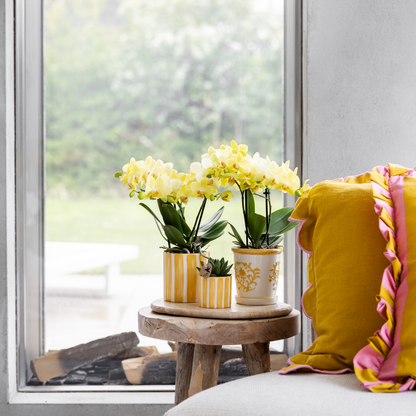 Striped Ceramic Decorative Pot Yellow