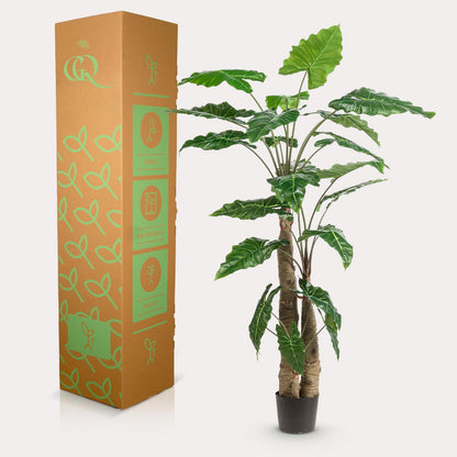 Kunstplant Alocasia 180 cm