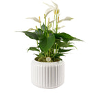 Sierpot keramiek 16 cm ribpatroon glanzend wit