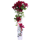 Clematis Nubia - Clematis eVison Red - Ø15cm - ↕65cm - Ø15 - ↨65cm