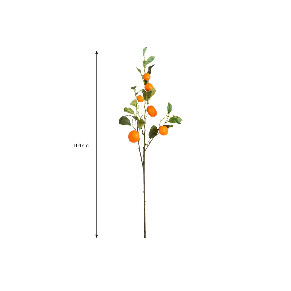 Kunsttak  Oranje