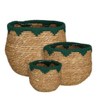 Plantenmand set van 3 H24xØ26 cm zeegras groen bruin