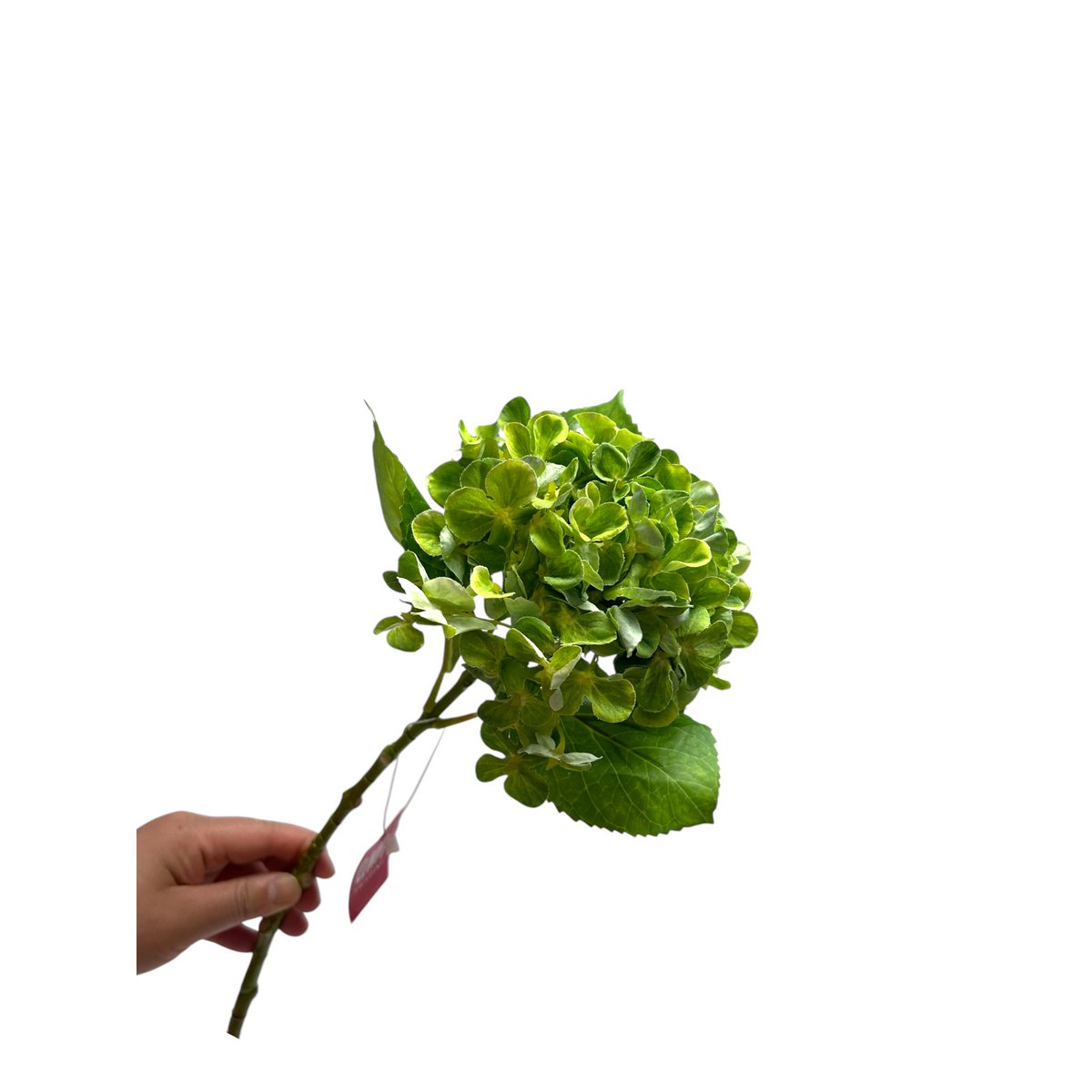 Artificial flowers Hydrangea Macrophylla Green | Silk artificial flower | Length 50 1pcs