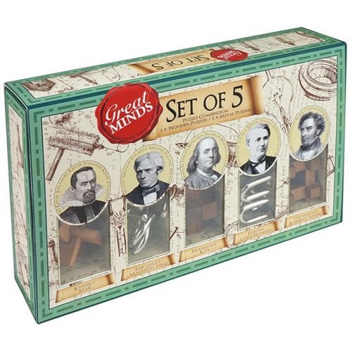 Breinbreker set 5 houten metalen puzzels
