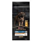 Pro Plan Dog Adult Large Breed Robust Chicken