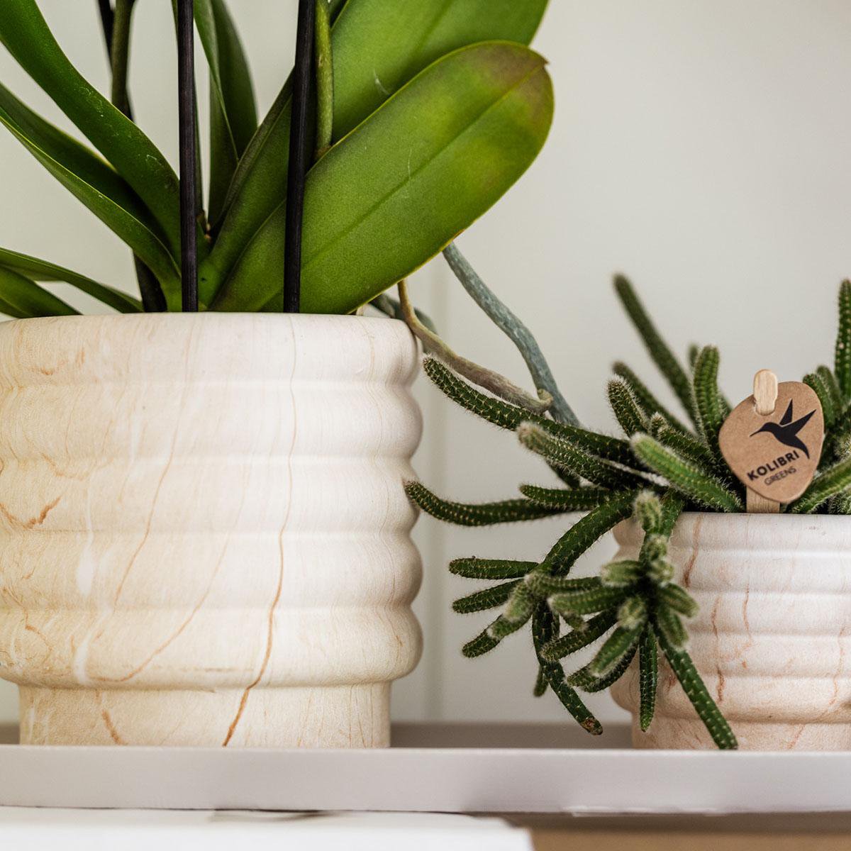 Marble Light Sierpotten Set van 3 | Diverse Maten