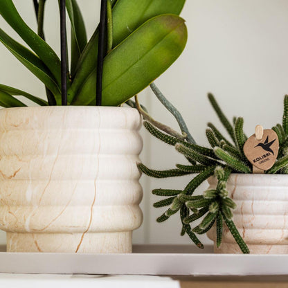 Marble Light Sierpotten Set van 3 | Diverse Maten