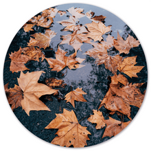 Wall circle leaf