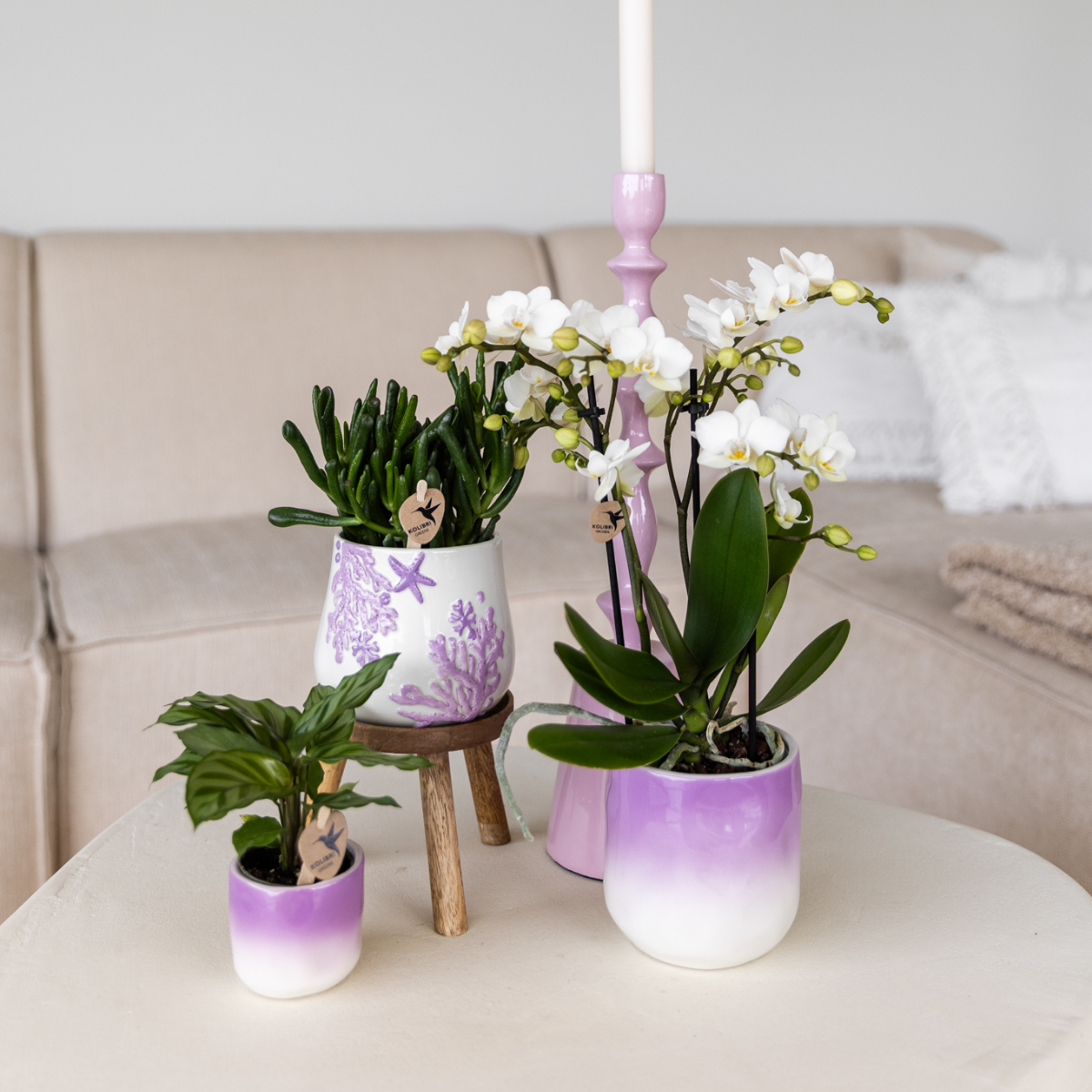 Kolibri Home | Coral  - Lilac - Ø9cm