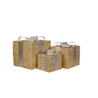 LED Christmas Gifts Set Polysenee S3 Gold Silver 15 20 25 Cm