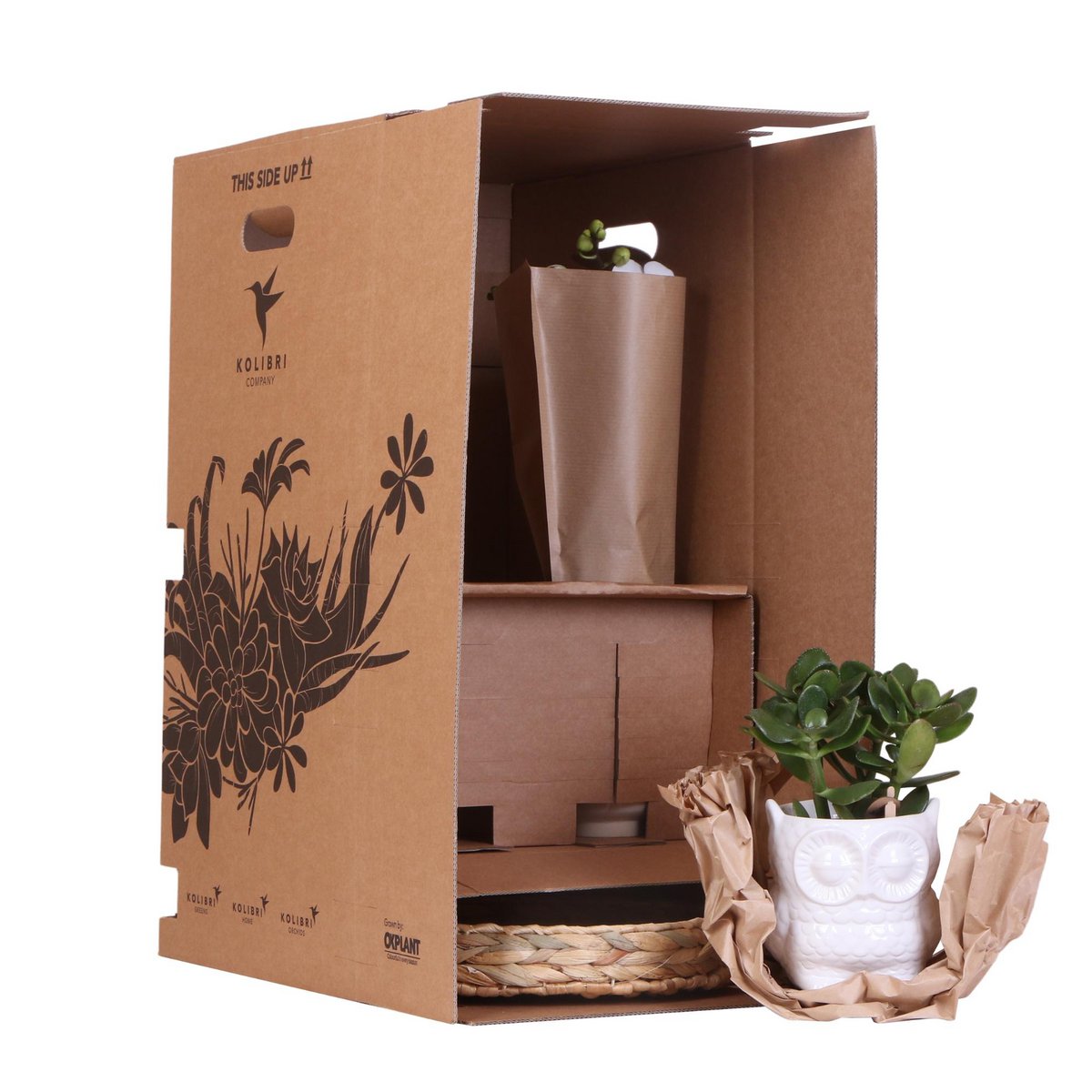 Complete Plantenset met Roze Orchidee, Groene Planten en Sierpotten
