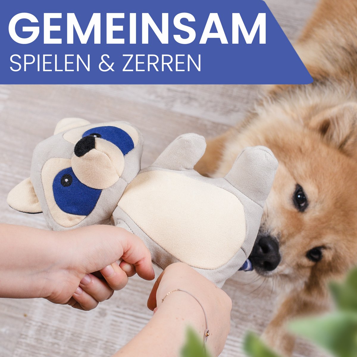 Hondenspeeltje wasbeer met pieper blauw 23x19 cm