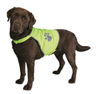 Veiligheidsvest hond 20 cm ruglengte verstelbaar