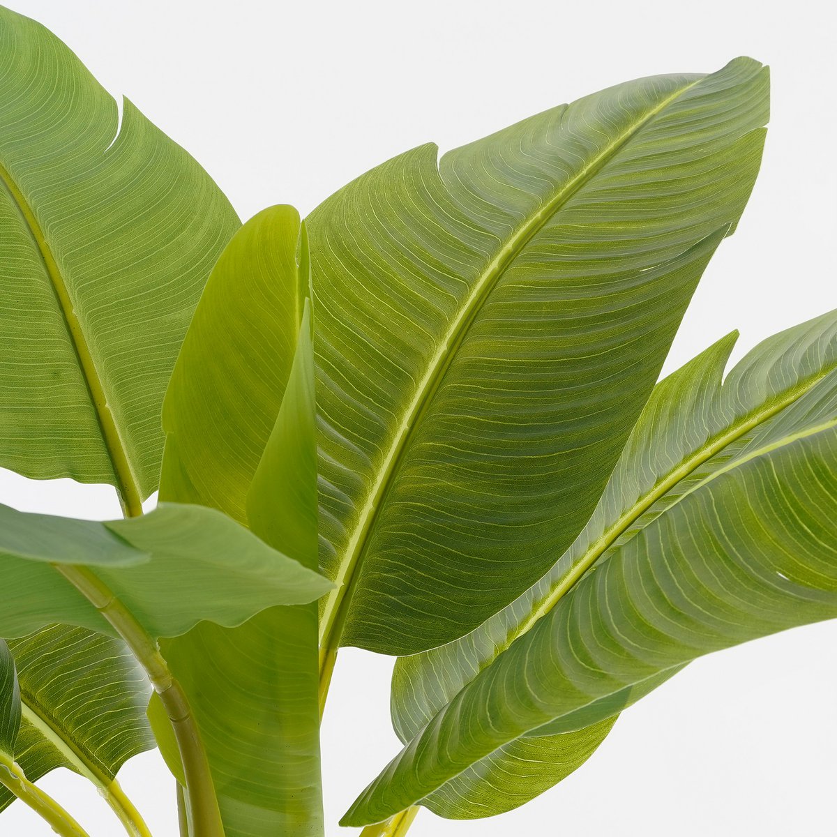Kunstplant bananenboom 155x90 cm groen
