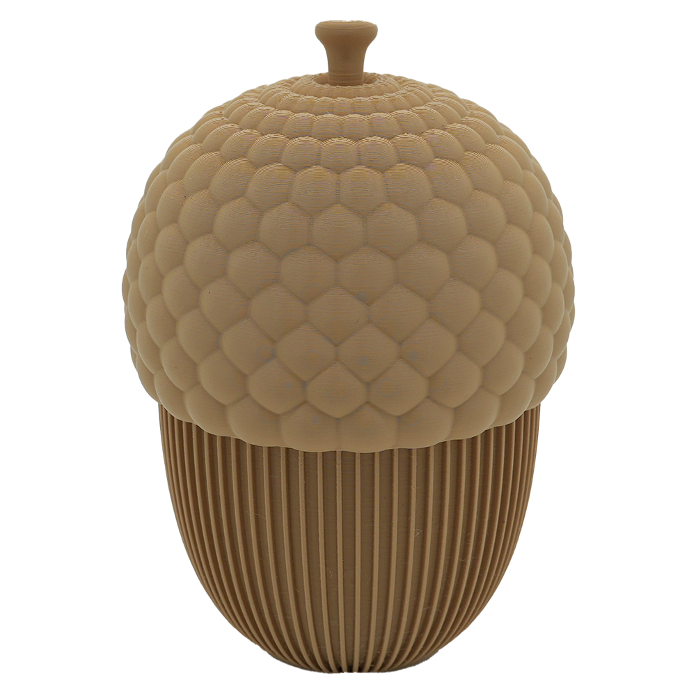 Autumn acorn