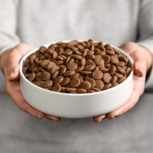 Smolke Sensitive Brokken Lam