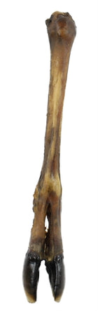 Pet Snack Deer Leg