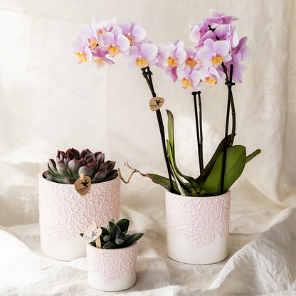 Bloempot set roze 3 maten 6 9 12 cm