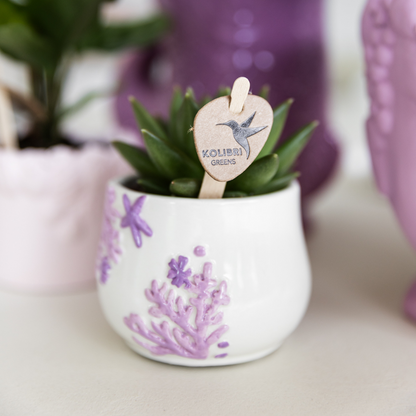 Kolibri Home | Coral  - Lilac - Ø6cm
