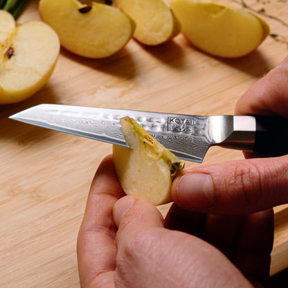 The Bunka Damascus Starter Set: 2 knives (Bunka Damascus Paring knife 90mm + Bunka Damascus Santoku 170mm)