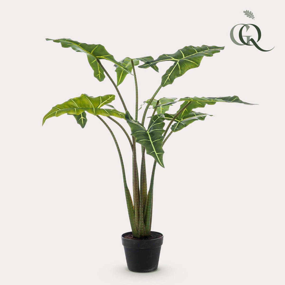 Kunstplant Alocasia Frydek 120 cm