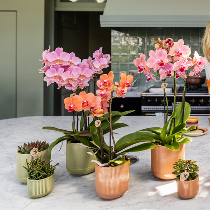 Sierpot keramiek Ø9 cm groen