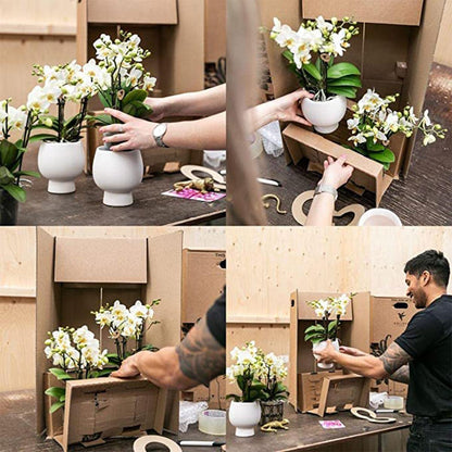 Orchidee en groene plantenset in vintage khaki potten met bamboe dienblad