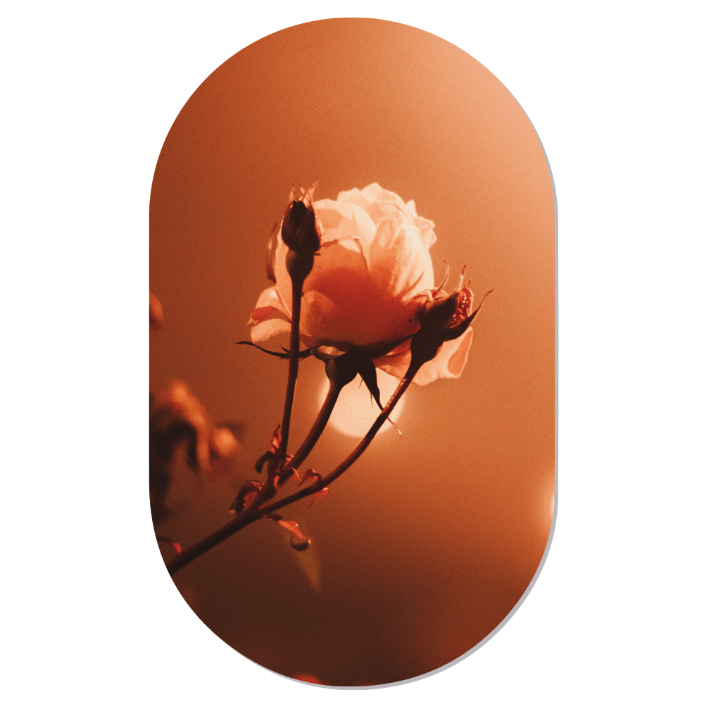 Muurovaal 90x55 cm Dibond Roségoud
