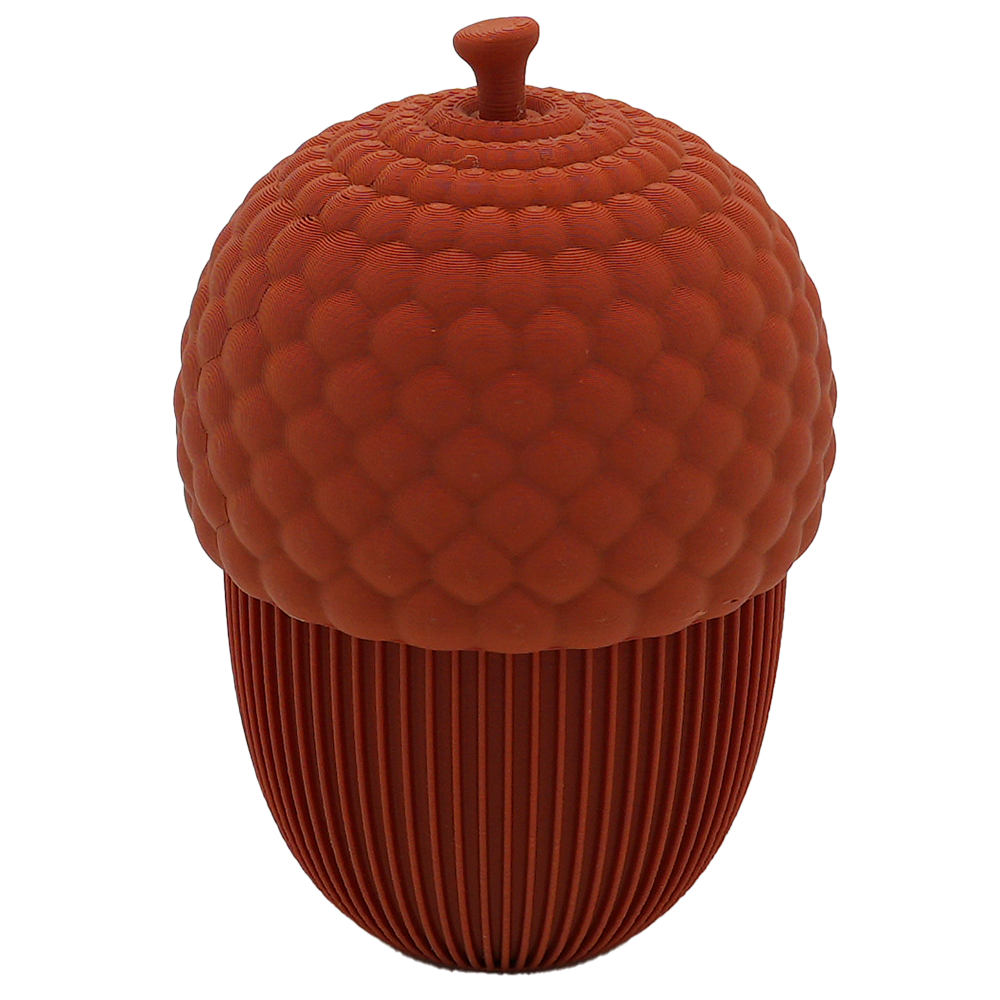 Autumn acorn