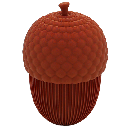 Autumn acorn