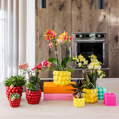 Rode Keramieken Bloempot Ø9 cm