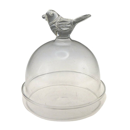Glasdeksel vogel transparant 5,5x5,5x6,5 cm