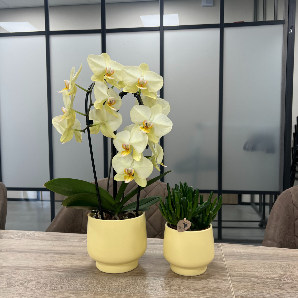 Bloempot ⌀9 cm geel