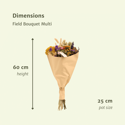 Dried Flowers Field Bouquet Multi - Ø25cm - ↕60cm