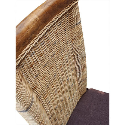 Eetkamerstoelen Set Van 4 Rotan Tabacco Stoel Duurzaam