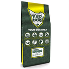 Yourdog Maremma Sheepdog Senior