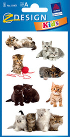 Papieretiketten kattenfoto 3 vel 76x120 mm