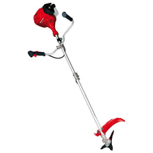 Einhell 2-In-1 Benzine Grastrimmer Gc-Bc 43 I As 1300 W 3436530