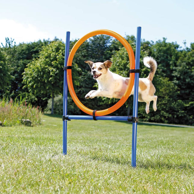 Honden behendigheidsring 115x3 cm plastic 3208