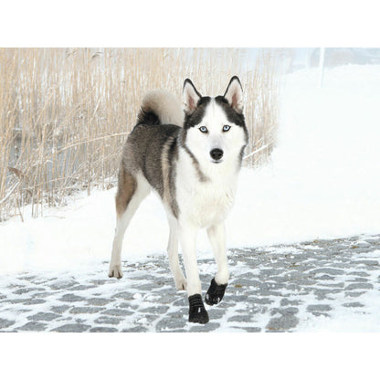 Trixie Schoenen Trixie 19465 Zwart L