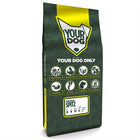Yourdog Visigothic Spitz Puppy